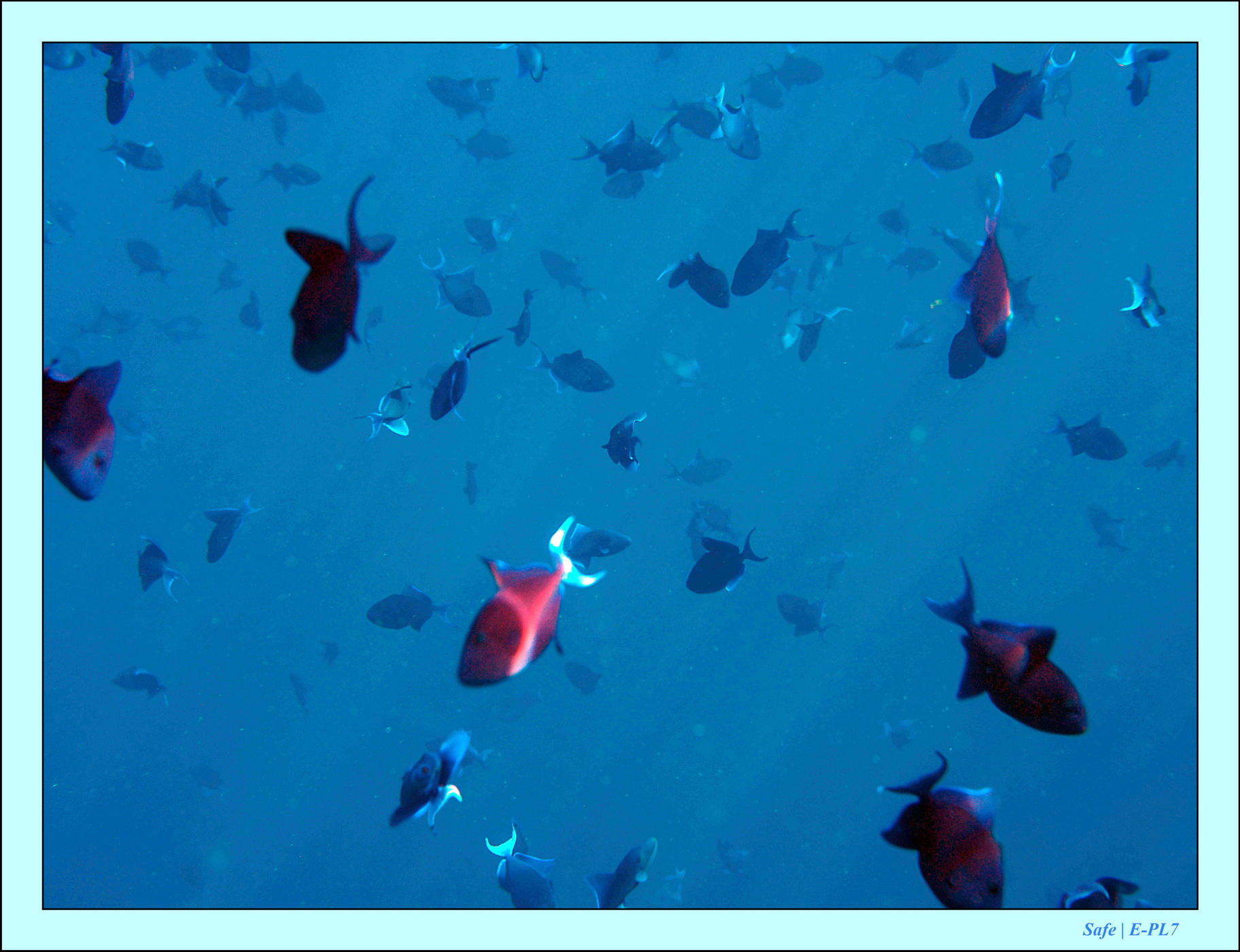 2023 - 07 - Sandies Bathala - 114